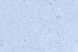 Линолеум Vertigo Eden E30613 SKY BLUE фото  | FLOORDEALER